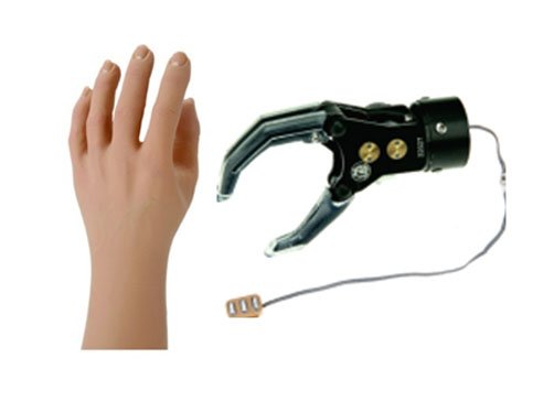 Benatural Myoelectrichand: J-HT-SJQ11 - Image 9