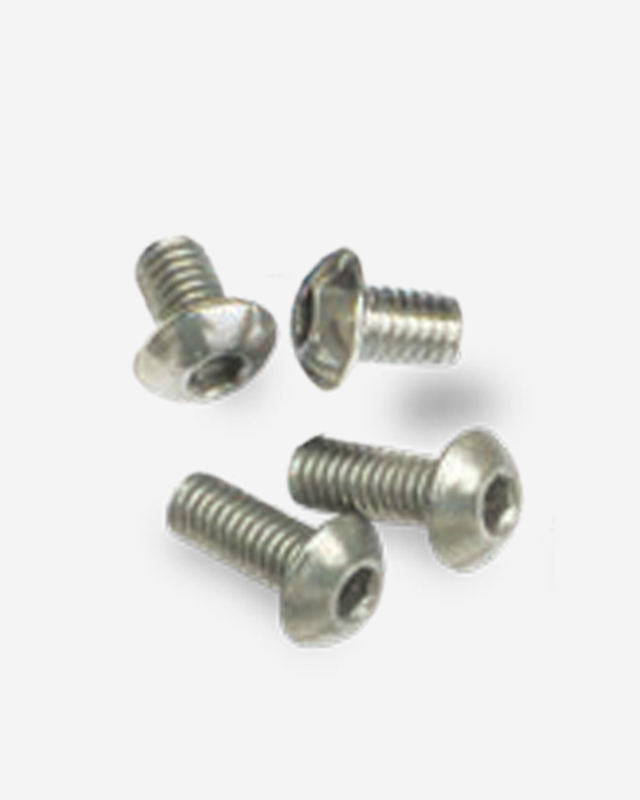 Stainless Steel Screws